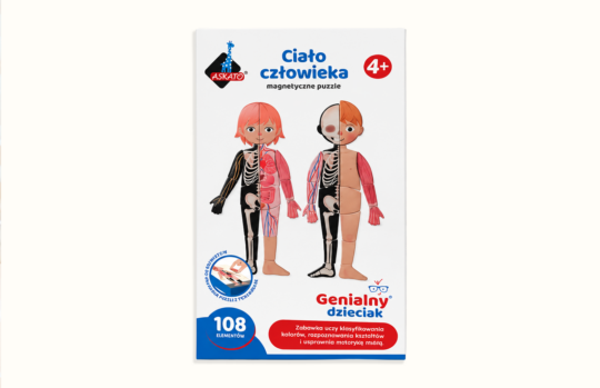 Magnetyczne Puzzle Ciało Człowieka