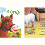 Konik Iha, Iha