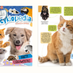 Mała encyklopedia. Zwierzęta domowe