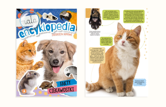 Mała encyklopedia. Zwierzęta domowe