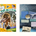 Mała encyklopedia. Rekordy przyrody
