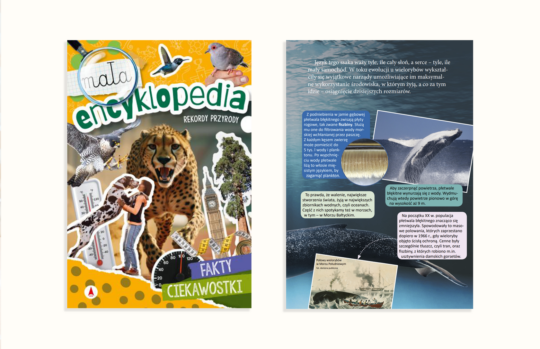 Mała encyklopedia. Rekordy przyrody